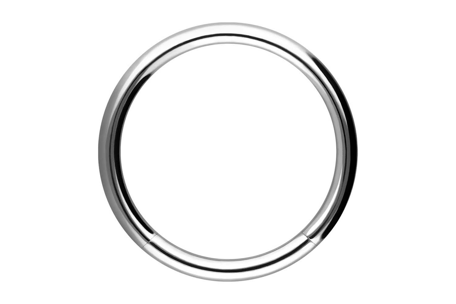 Surgical steel segment ring