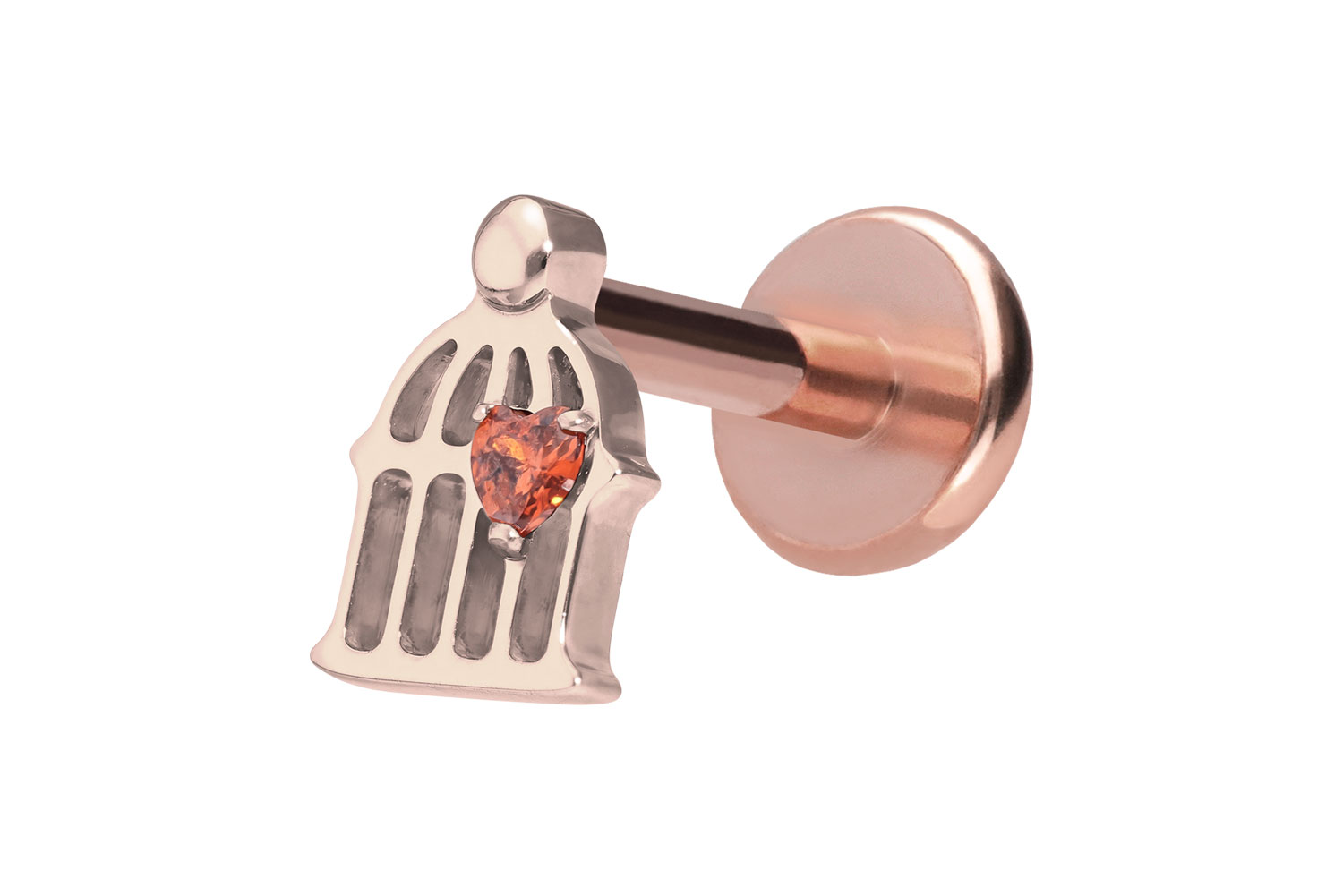 Titan Labret mit Push Fit KÄFIG