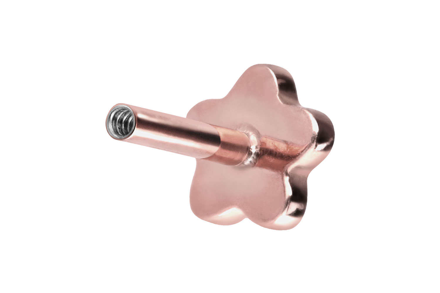 Titan Labret mit Innengewinde ohne Kugel BLUME