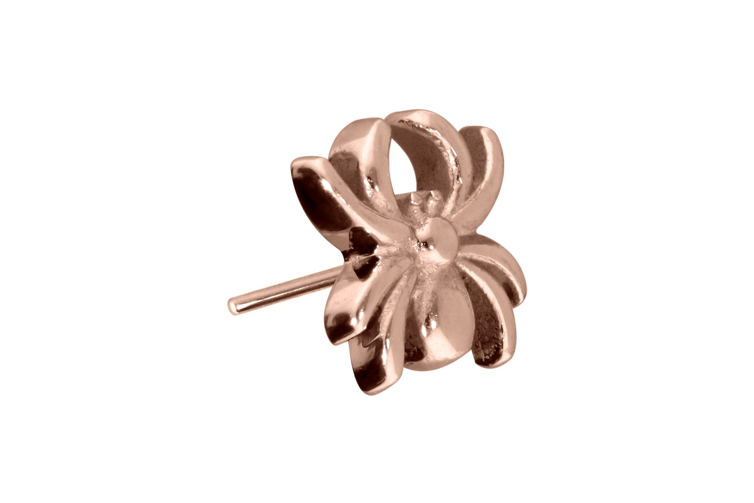 Titan Aufsatz mit Push Pin SPINNE