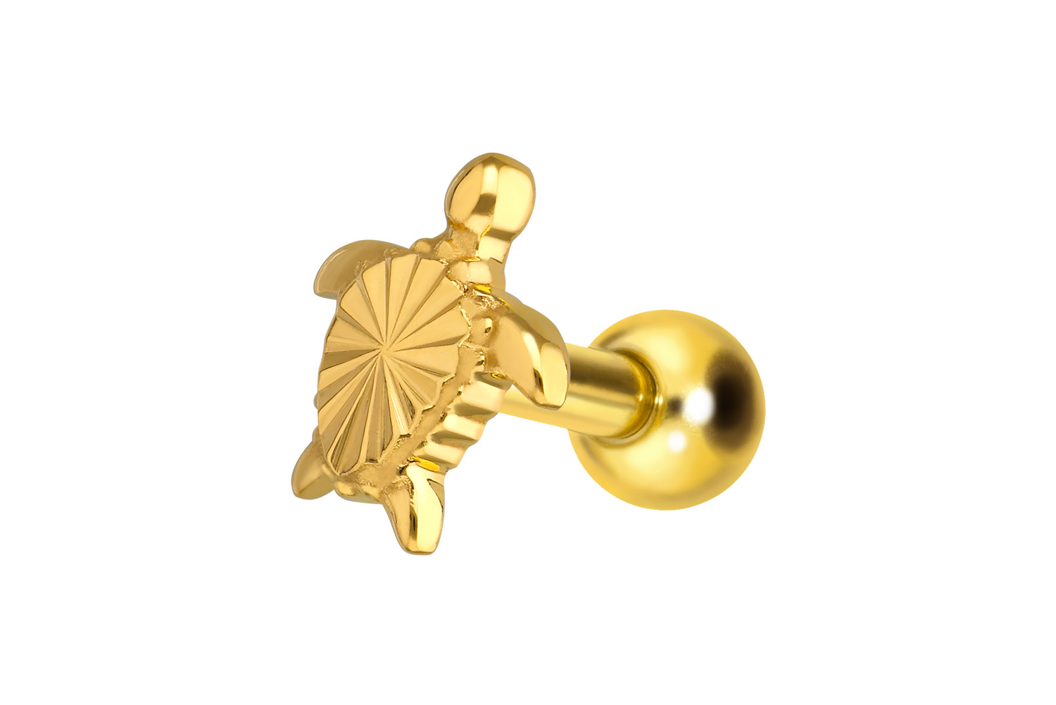 Titanium ear piercing with internal thread TURTLE