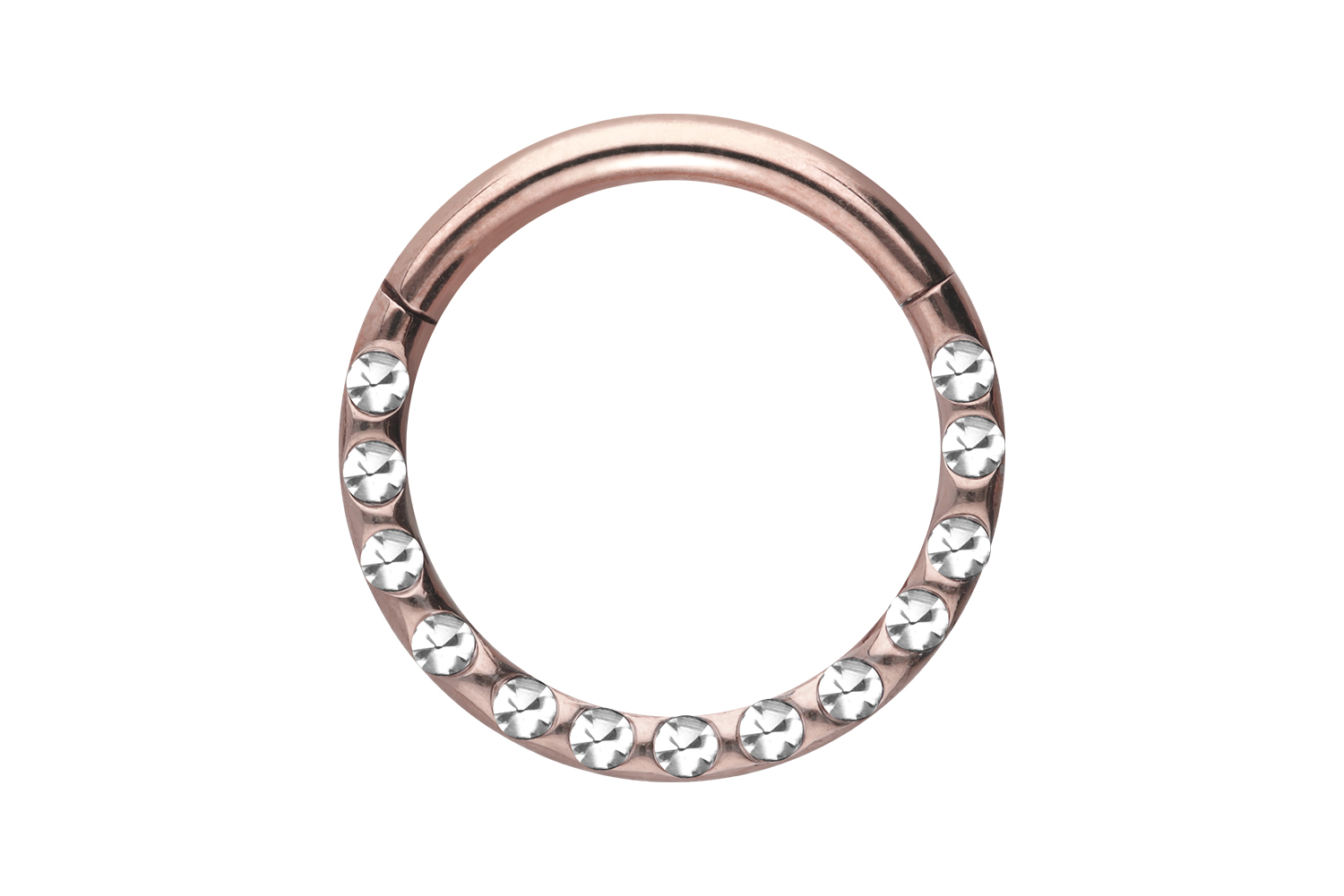 Chirurgenstahl Segmentring Clicker KRISTALLE + EPOXY