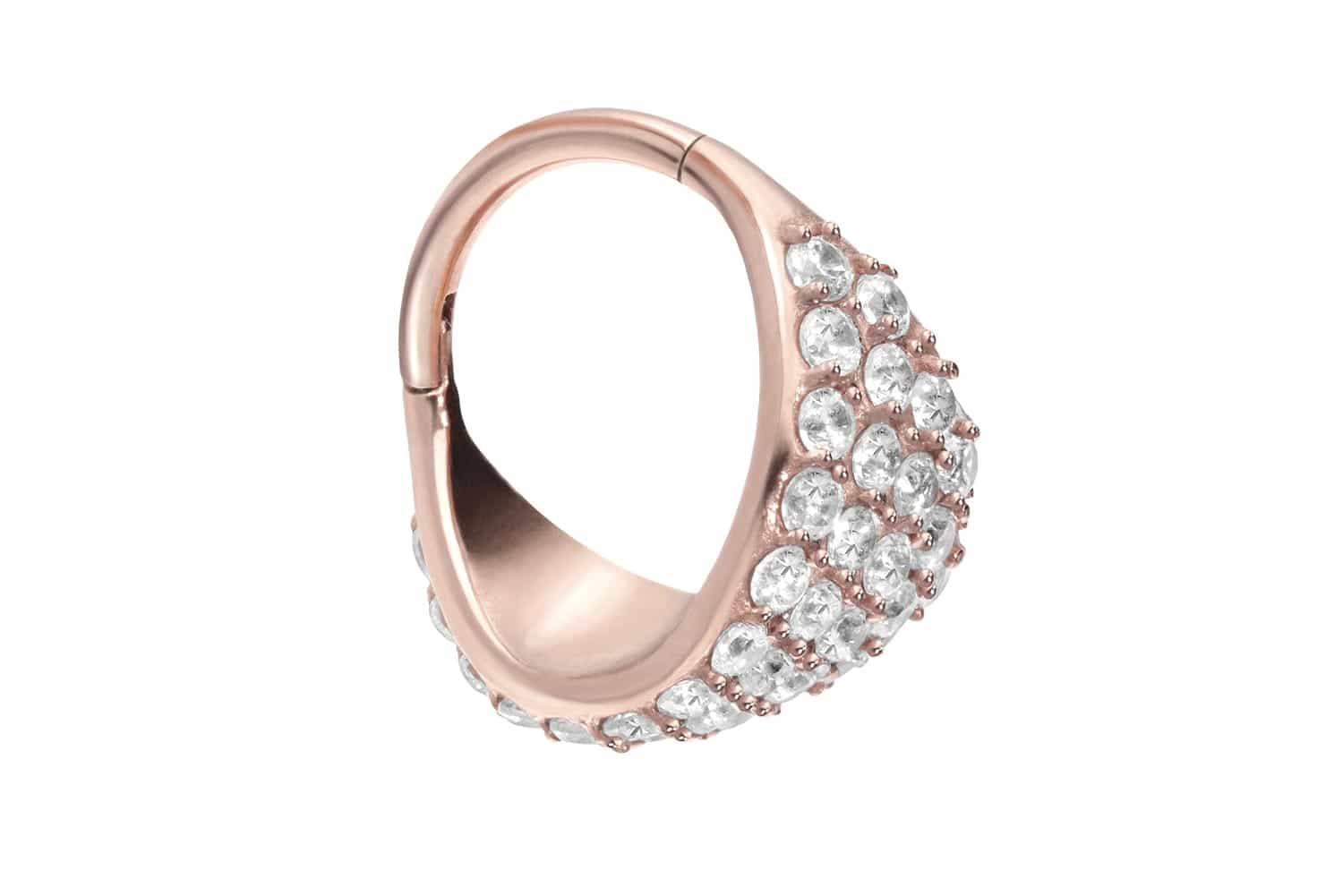 Chirurgenstahl Segmentring Clicker EINGEFASSTES KRISTALLSCHILD ++SALE++