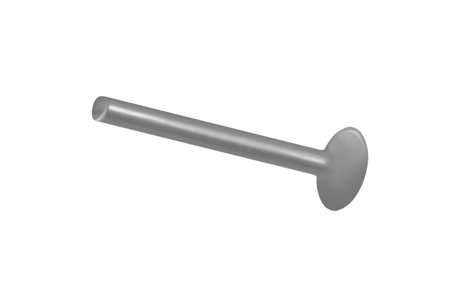 PTFE Labret ohne Kugel