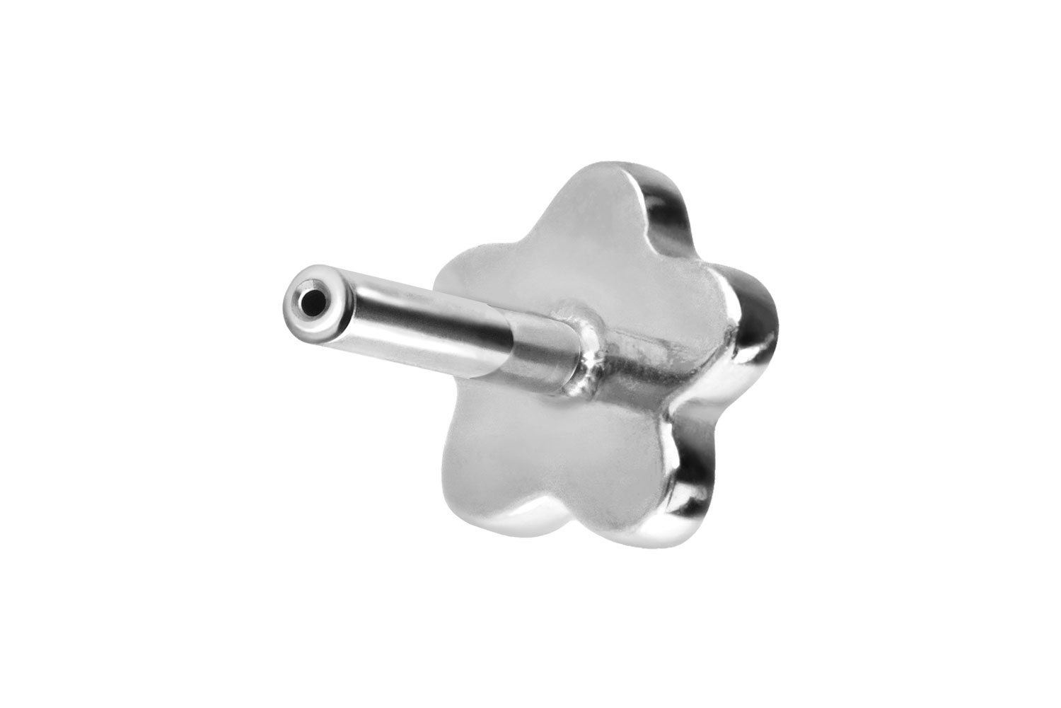 Titan Labret mit Push Fit ohne Kugel BLUME